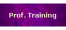 Prof. Training
